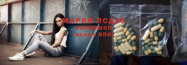 гашик Нефтекумск