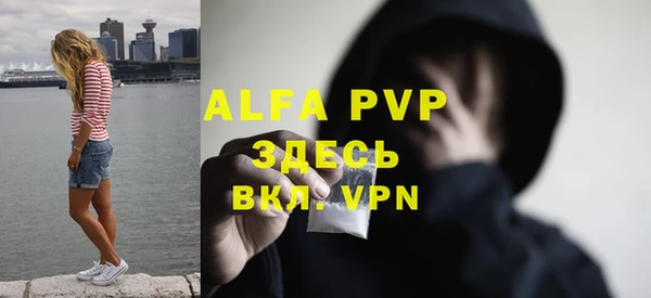 гашик Нефтекумск