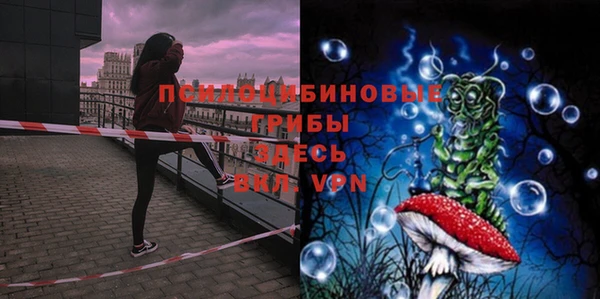 твердый Куровское