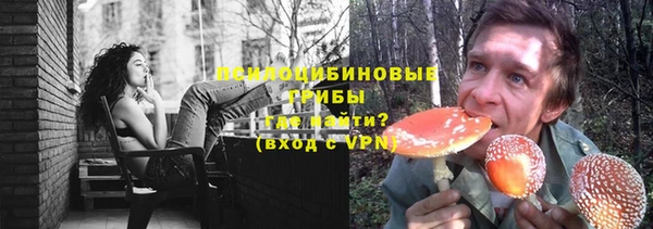 гашик Нефтекумск