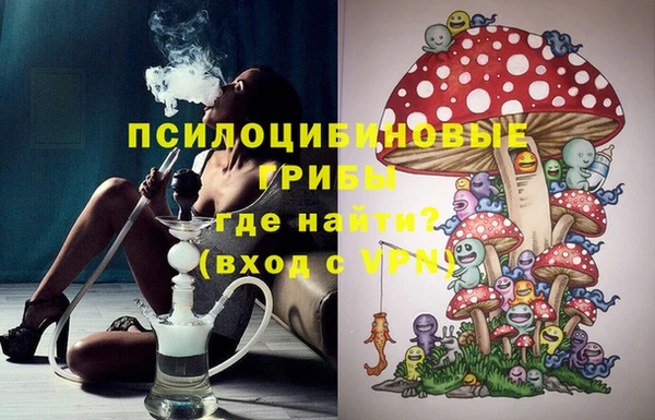 гашик Нефтекумск