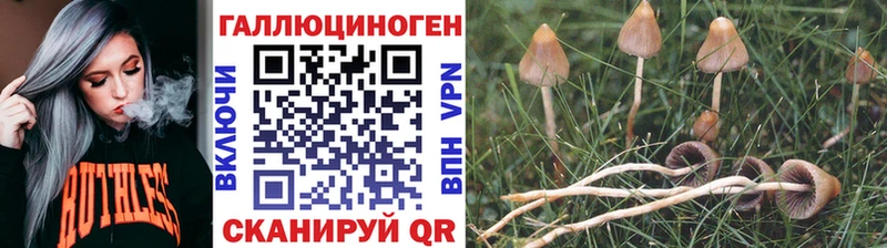 Галлюциногенные грибы Psilocybine cubensis  Купить где  Качканар 